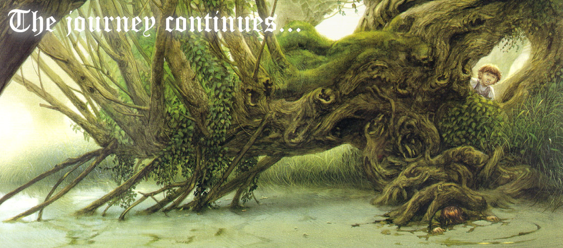 The journey continues...